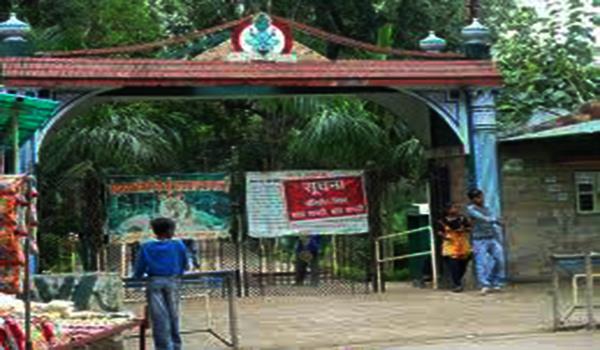Nandan Van Zoo and Safari, Raipur, Chhattisgarh